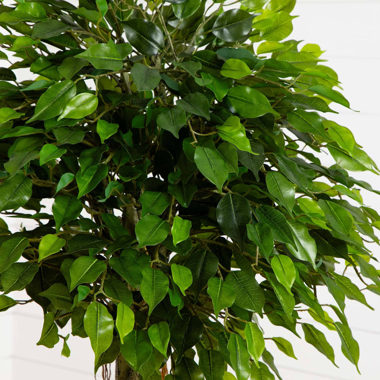5' Ficus Artificial Topiary Tree UV Resistant (Indoor/Outdoor)-Parc Decor