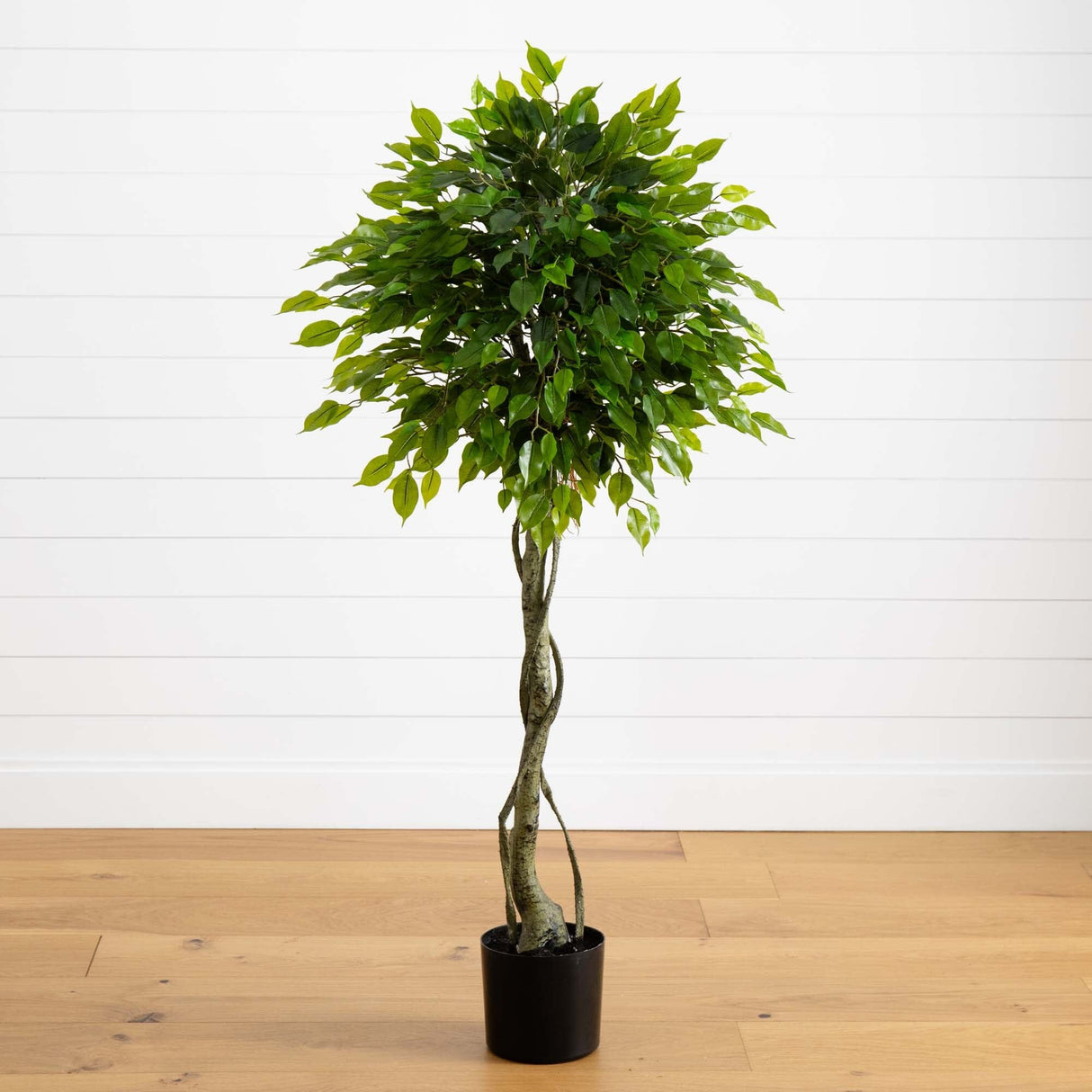 5' Ficus Artificial Topiary Tree UV Resistant (Indoor/Outdoor)-Parc Decor
