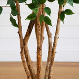 5' Ficus Bushy Silk Tree-Parc Decor