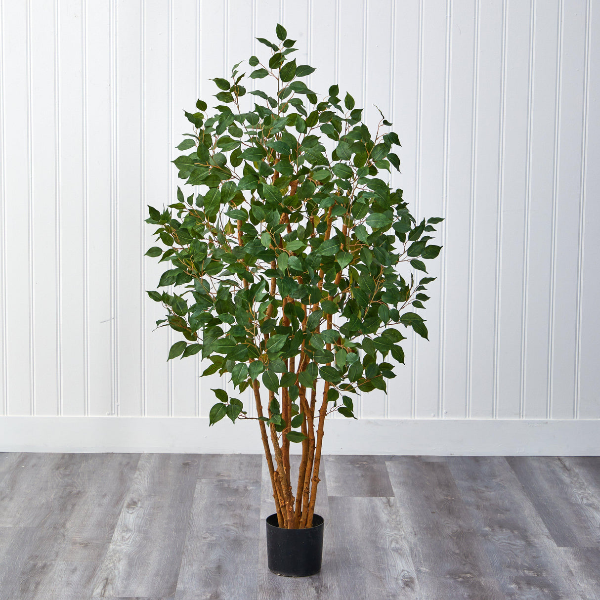 5' Ficus Bushy Silk Tree-Parc Decor
