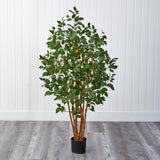 5' Ficus Bushy Silk Tree-Parc Decor