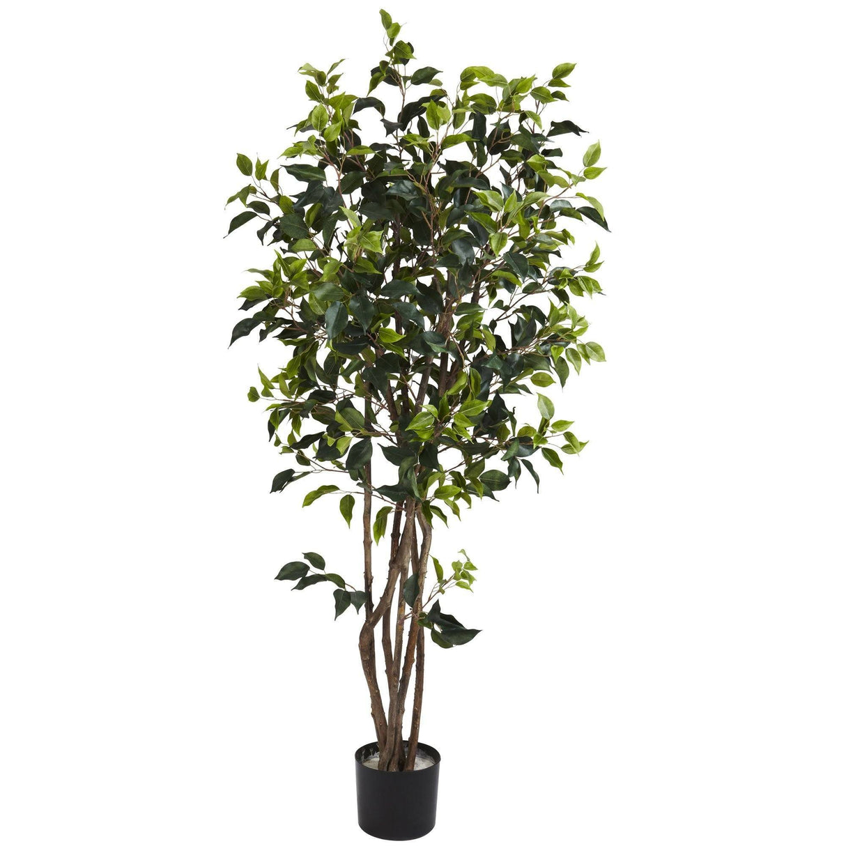 5' Ficus Bushy Silk Tree-Parc Decor
