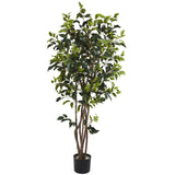 5' Ficus Bushy Silk Tree-Parc Decor
