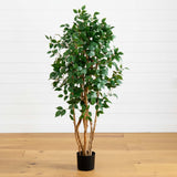 5' Ficus Bushy Silk Tree-Parc Decor
