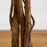 5' Ficus Silk Tree-Parc Decor