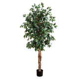 5' Ficus Silk Tree-Parc Decor