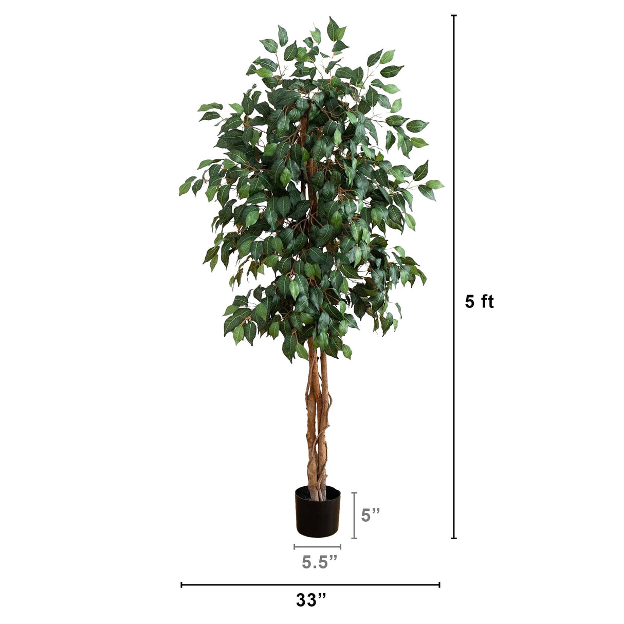 5' Ficus Silk Tree-Parc Decor