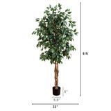 5' Ficus Silk Tree-Parc Decor