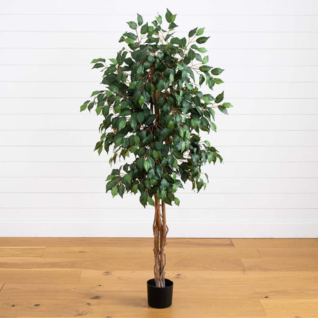 5' Ficus Silk Tree-Parc Decor