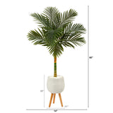 5’ Golden Cane Artificial Palm Tree in White Planter with Stand-Parc Decor