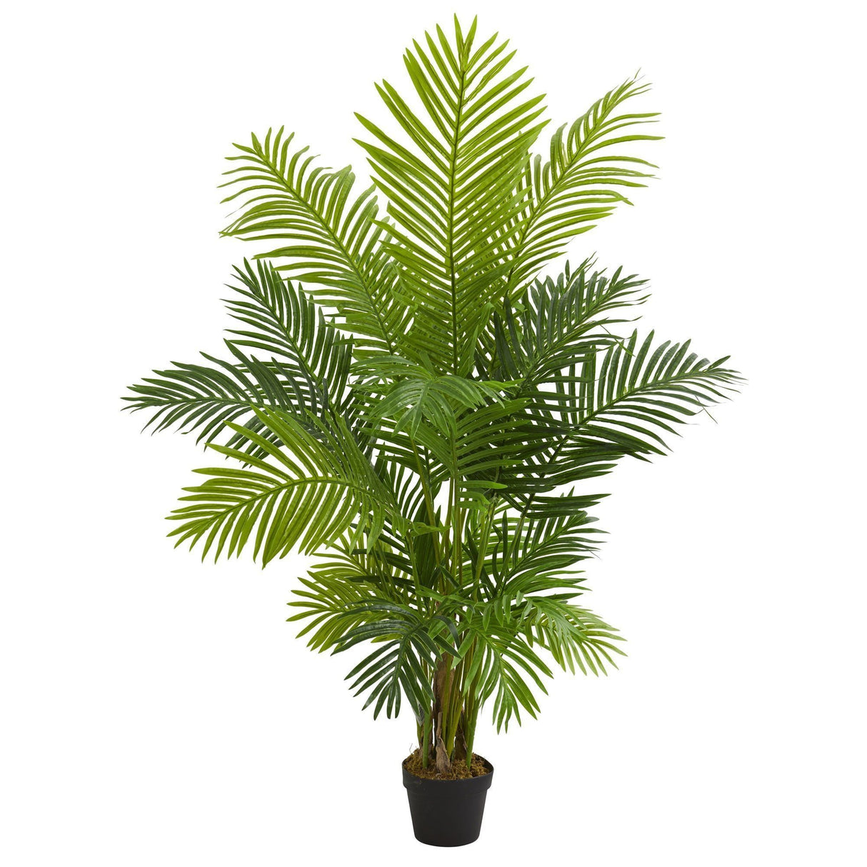 5’ Hawaii Palm Artificial Tree-Parc Decor