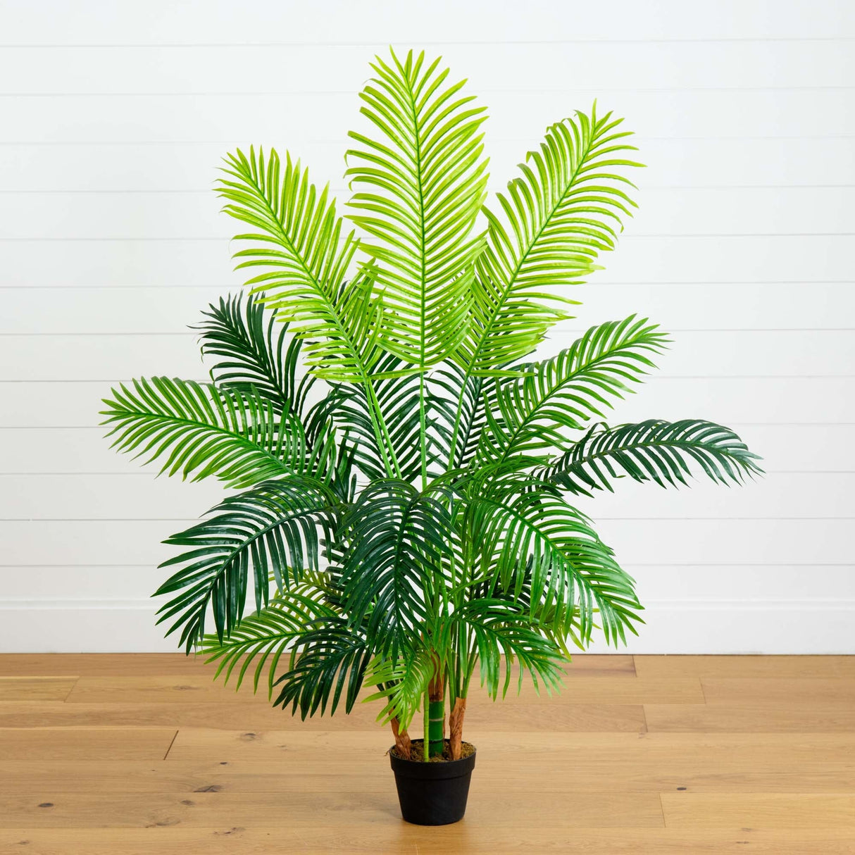 5’ Hawaii Palm Artificial Tree-Parc Decor