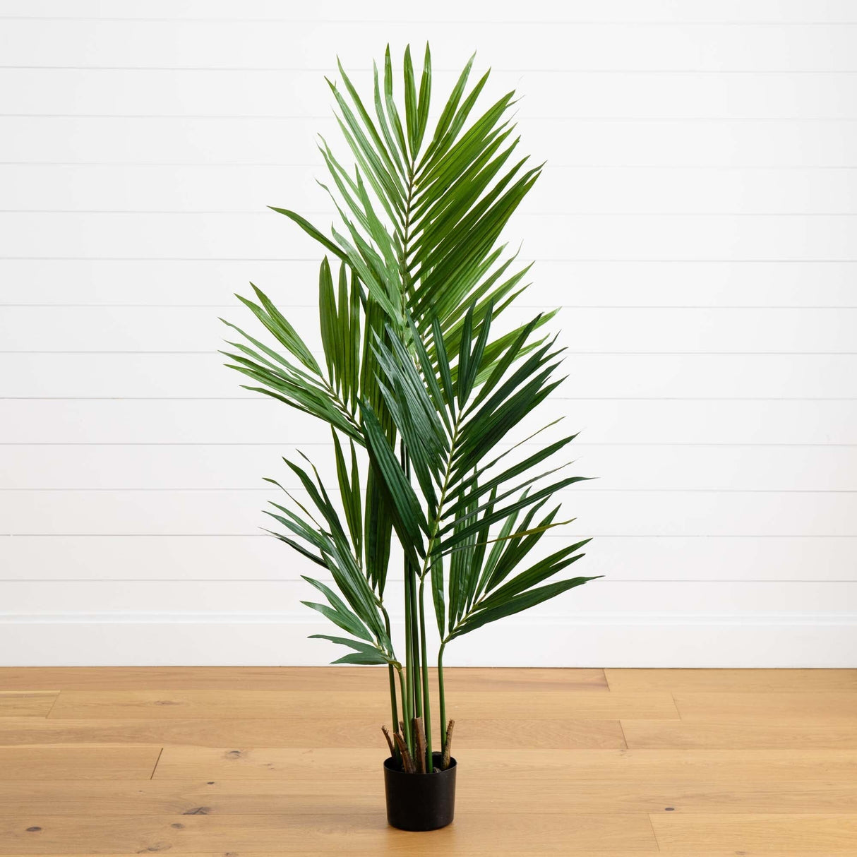 5' Kentia Palm Artificial Silk Tree-Parc Decor