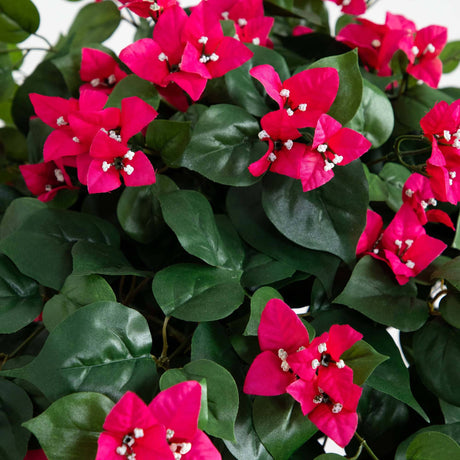 5' Mini Bougainvillea Topiary-Parc Decor
