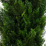 5' Mini Cedar Pine Tree (Indoor/Outdoor)-Parc Decor