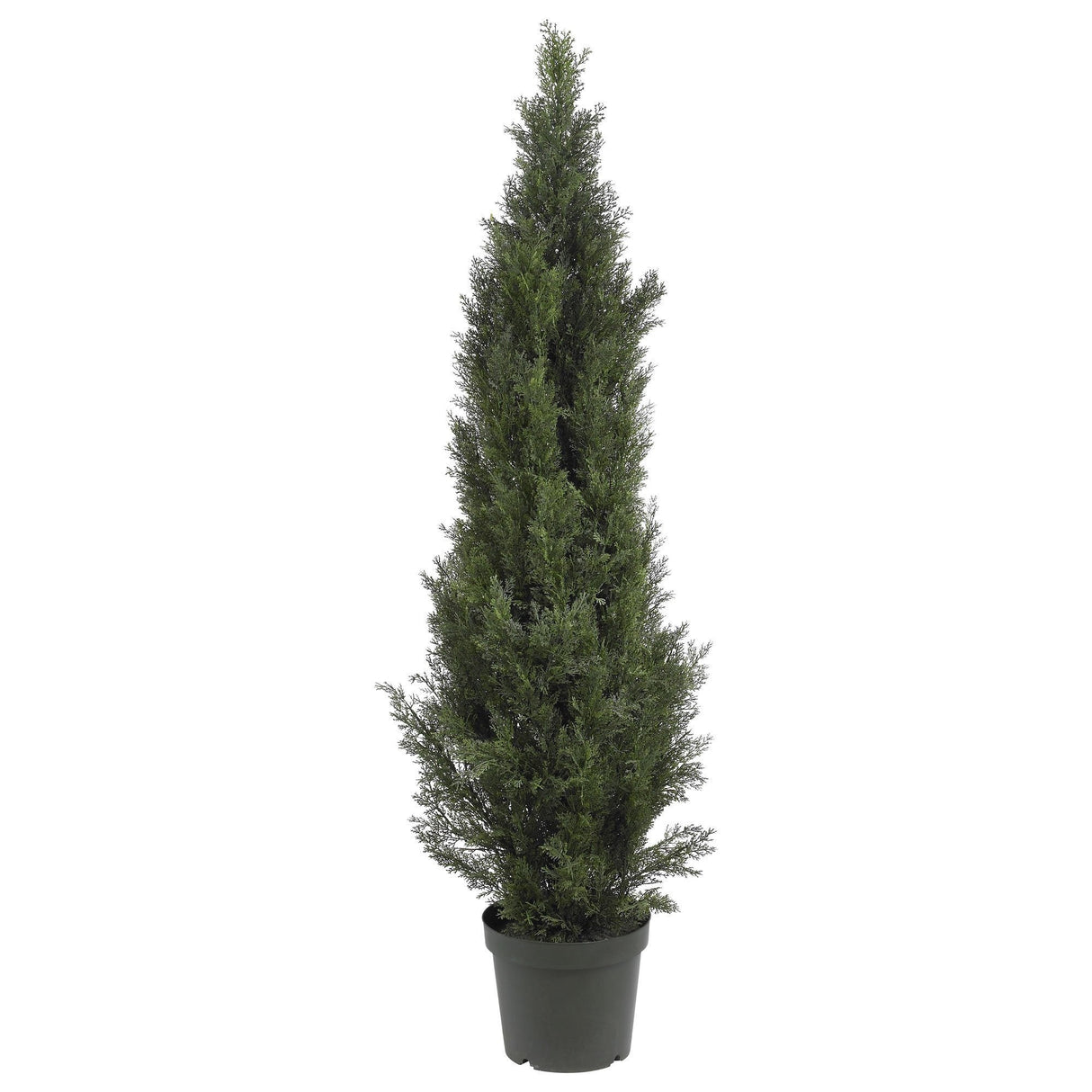 5' Mini Cedar Pine Tree (Indoor/Outdoor)-Parc Decor