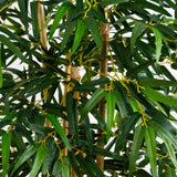 5' Multi Bambusa Bamboo Silk Tree-Parc Decor