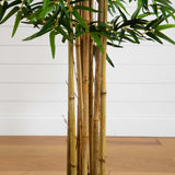 5' Multi Bambusa Bamboo Silk Tree-Parc Decor