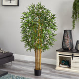 5' Multi Bambusa Bamboo Silk Tree-Parc Decor