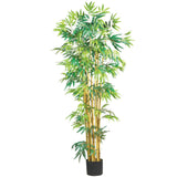 5' Multi Bambusa Bamboo Silk Tree-Parc Decor