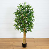 5' Multi Bambusa Bamboo Silk Tree-Parc Decor