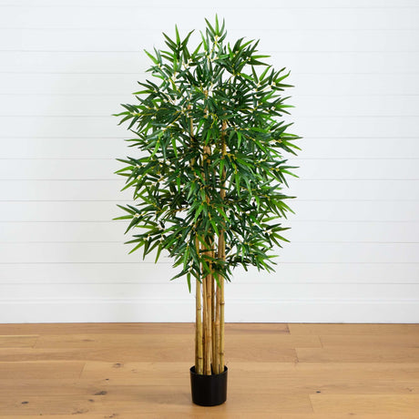 5' Multi Bambusa Bamboo Silk Tree-Parc Decor