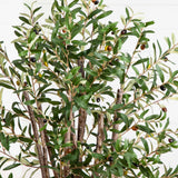 5' Olive Silk Tree-Parc Decor
