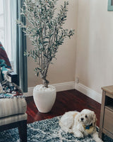 5' Olive Silk Tree-Parc Decor