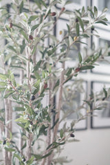 5' Olive Silk Tree-Parc Decor