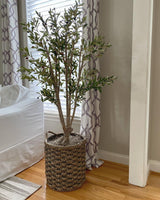 5' Olive Silk Tree-Parc Decor