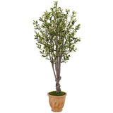 5’ Olive Tree in Terracotta Planter-Parc Decor