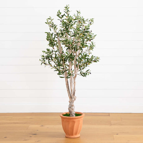 5’ Olive Tree in Terracotta Planter-Parc Decor