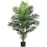 5' Paradise Palm-Parc Decor
