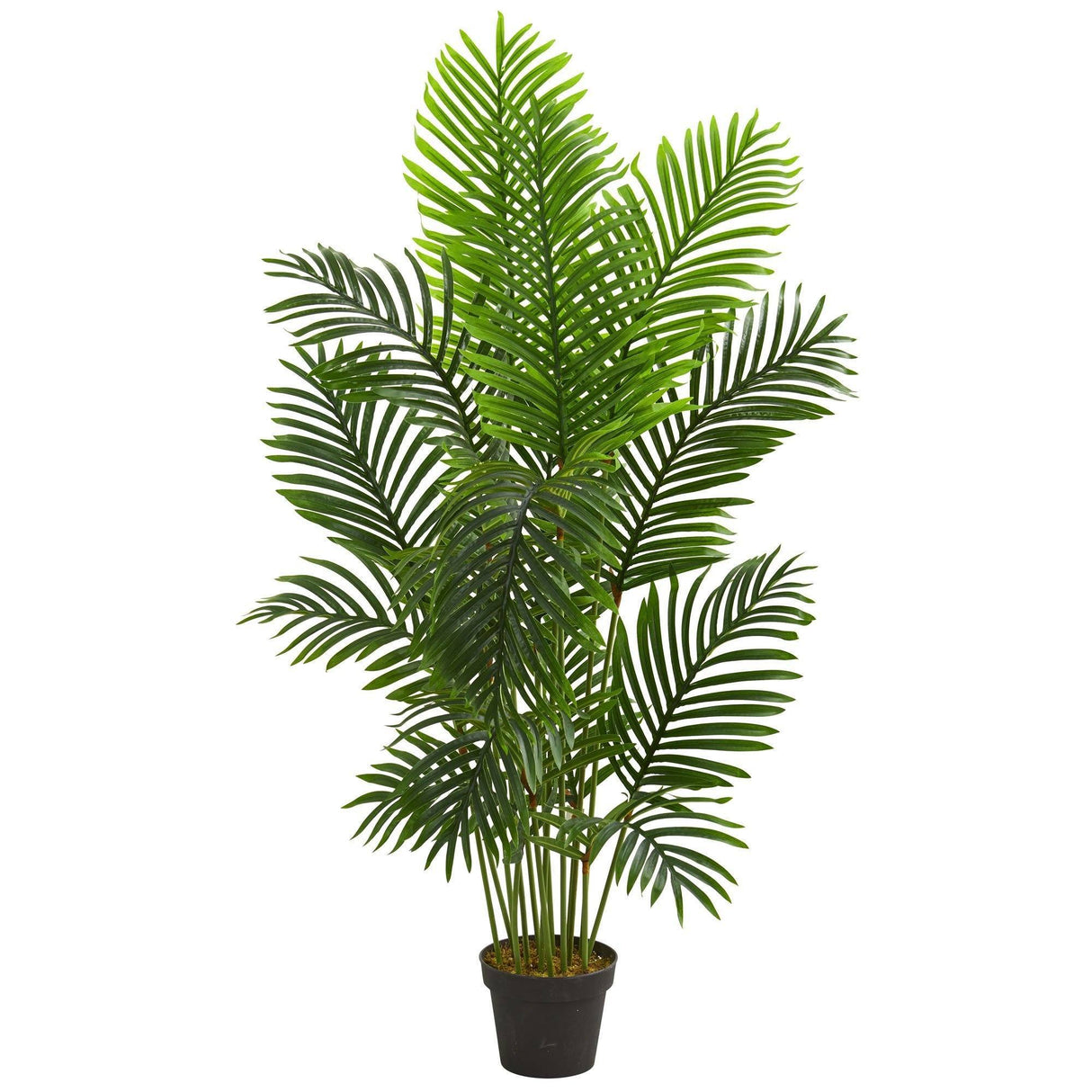 5’ Paradise Palm Artificial Tree-Parc Decor