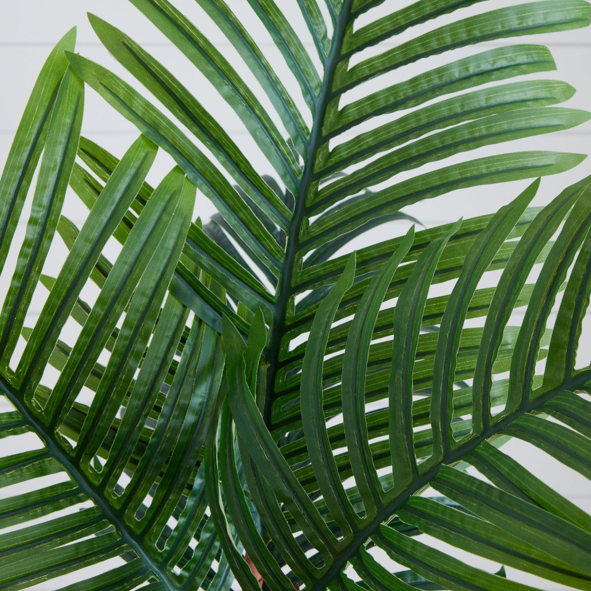 5’ Paradise Palm Artificial Tree in Sand Colored Planter-Parc Decor