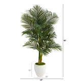 5’ Paradise Palm Artificial Tree in White Planter with Faux Moss-Parc Decor