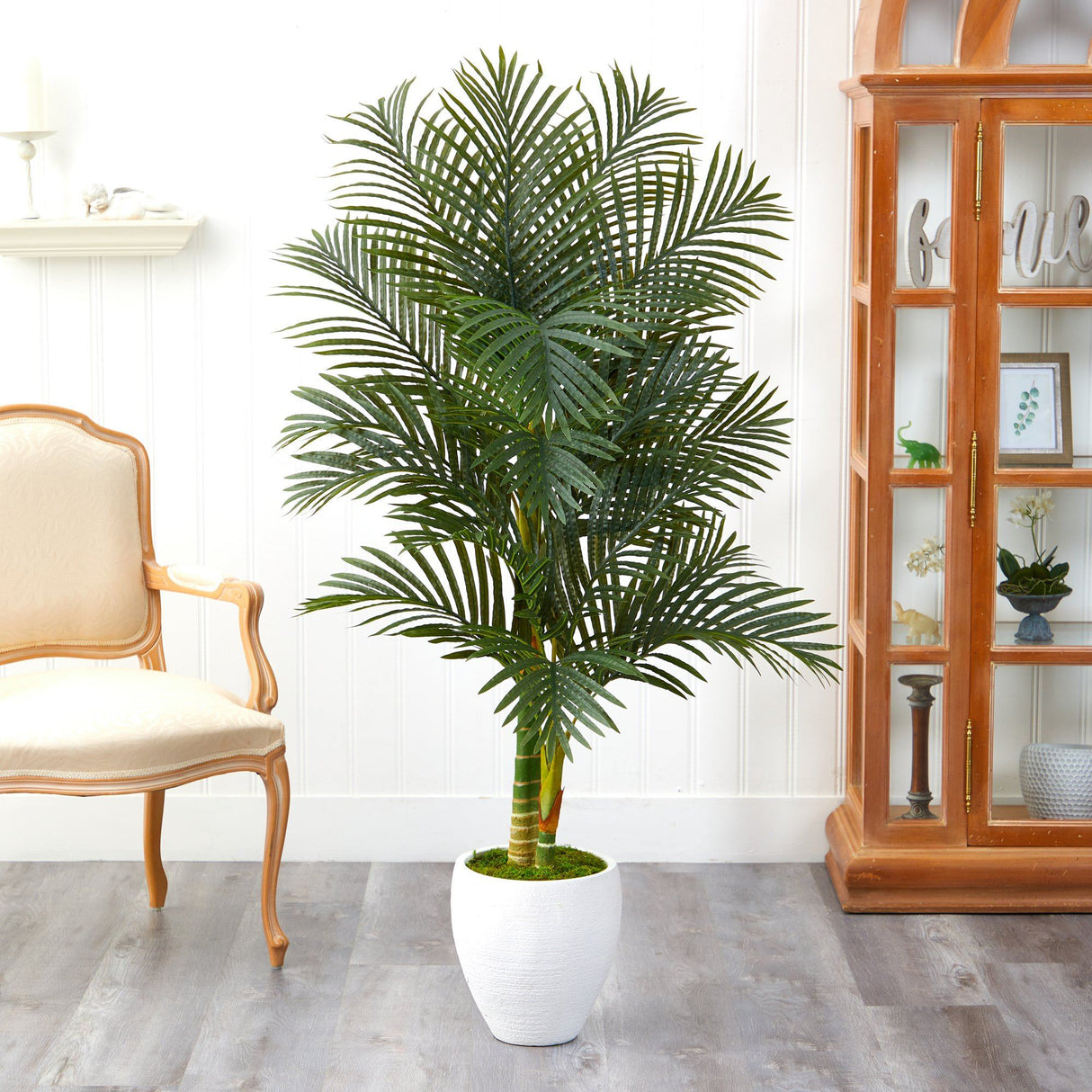 5’ Paradise Palm Artificial Tree in White Planter with Faux Moss-Parc Decor