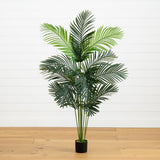5' Paradise Palm-Parc Decor
