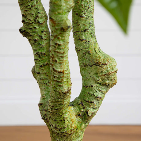 5' Plumeria Tree UV Resistant (Indoor/Outdoor)-Parc Decor