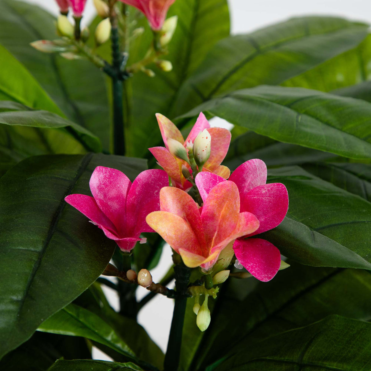 5' Plumeria Tree UV Resistant (Indoor/Outdoor)-Parc Decor