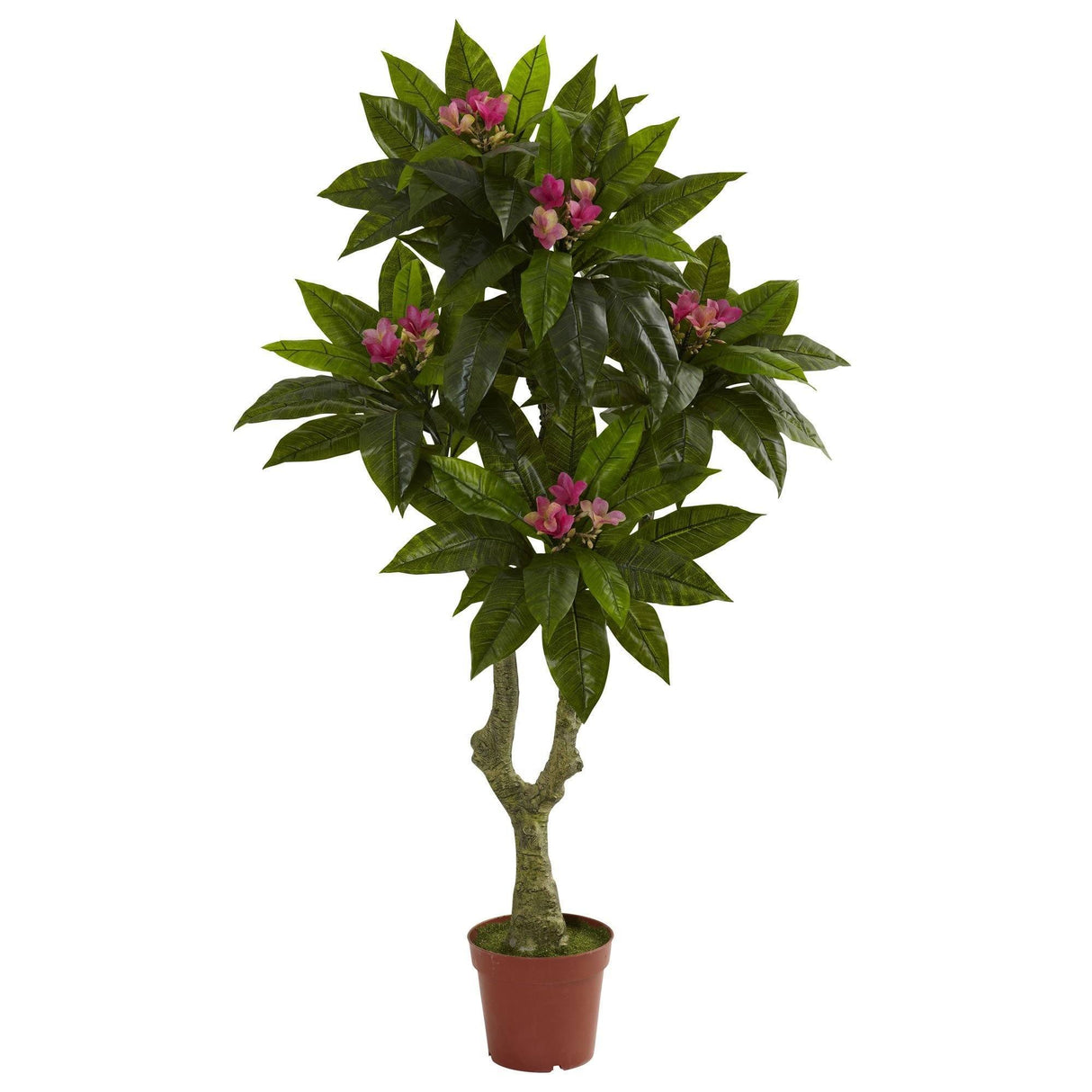 5' Plumeria Tree UV Resistant (Indoor/Outdoor)-Parc Decor