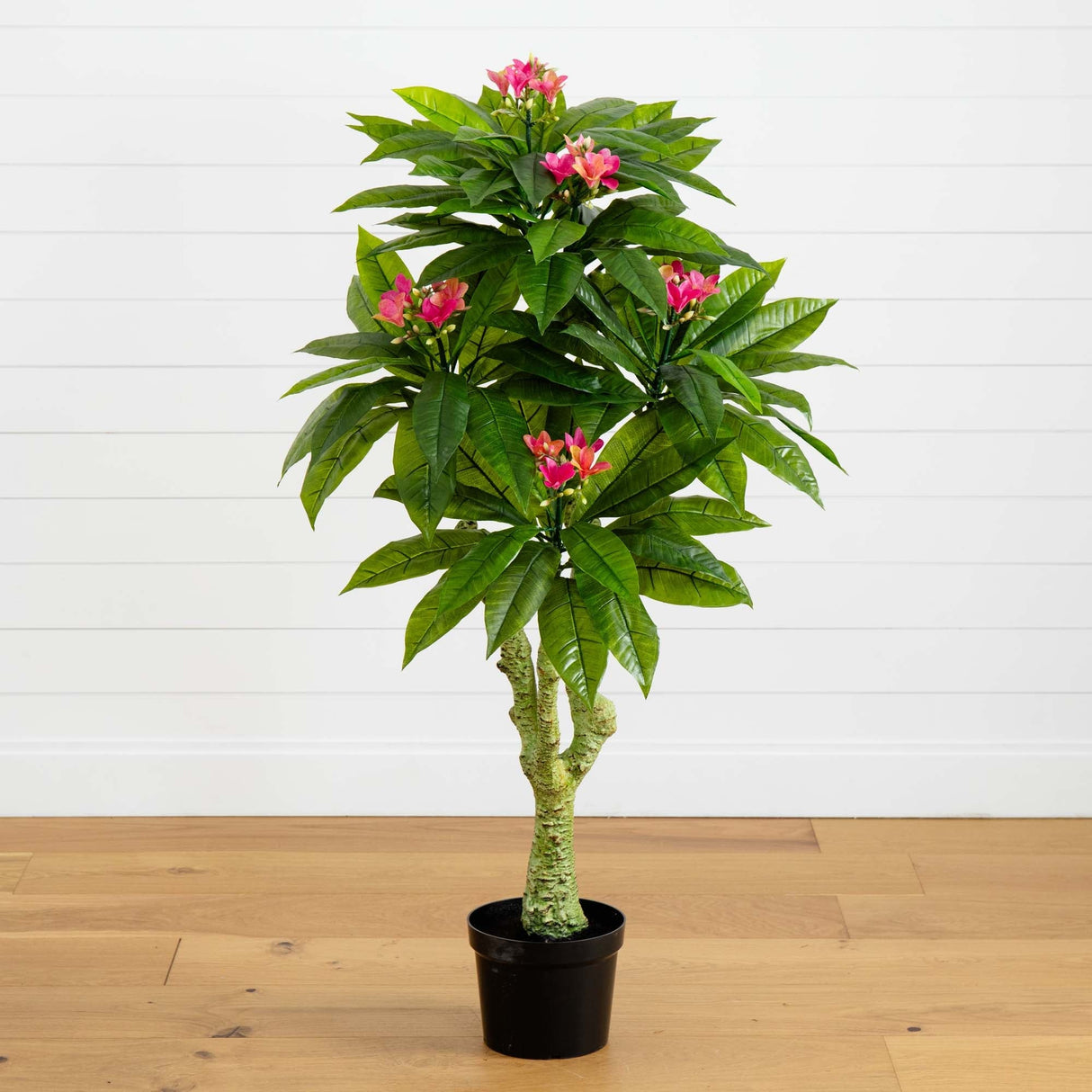 5' Plumeria Tree UV Resistant (Indoor/Outdoor)-Parc Decor