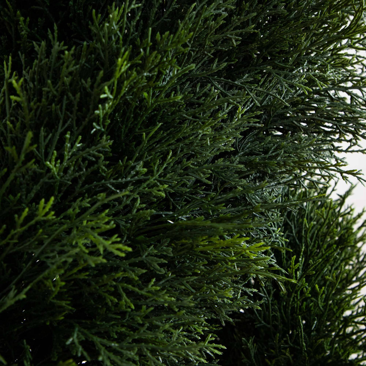 5' Pond Cypress Spiral Topiary UV Resistant (Indoor/Outdoor)-Parc Decor