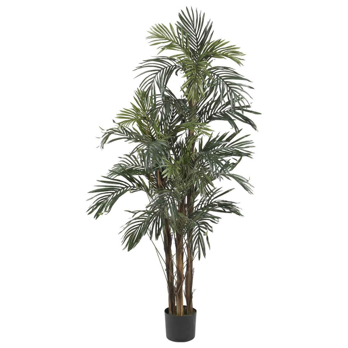 5' Robellini Palm Silk Tree-Parc Decor
