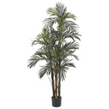 5' Robellini Palm Silk Tree-Parc Decor