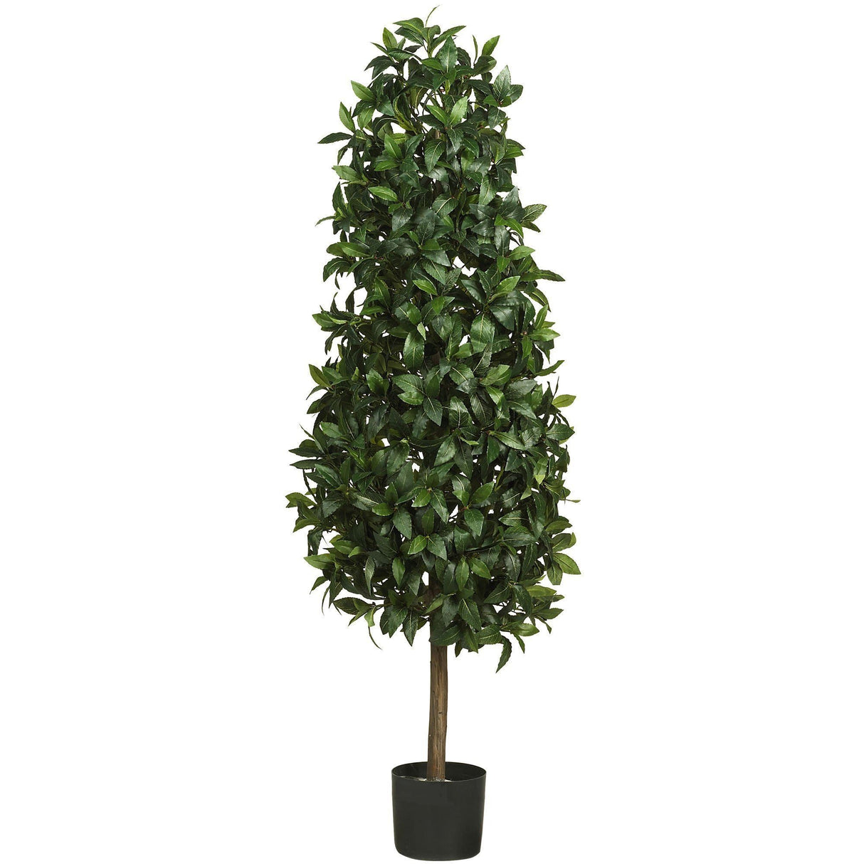 5' Sweet Bay Pyramid Silk Tree-Parc Decor