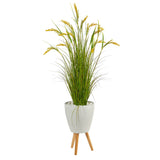 5” Wheat Grain Artificial Plant in White Planter with Legs-Parc Decor