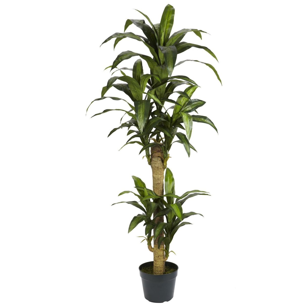 5' Yucca Silk Plant-Parc Decor