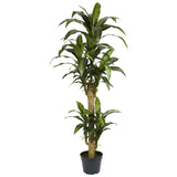 5' Yucca Silk Plant-Parc Decor