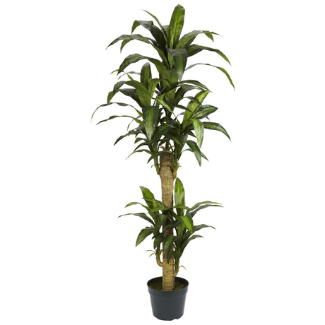 5' Yucca Silk Plant-Parc Decor